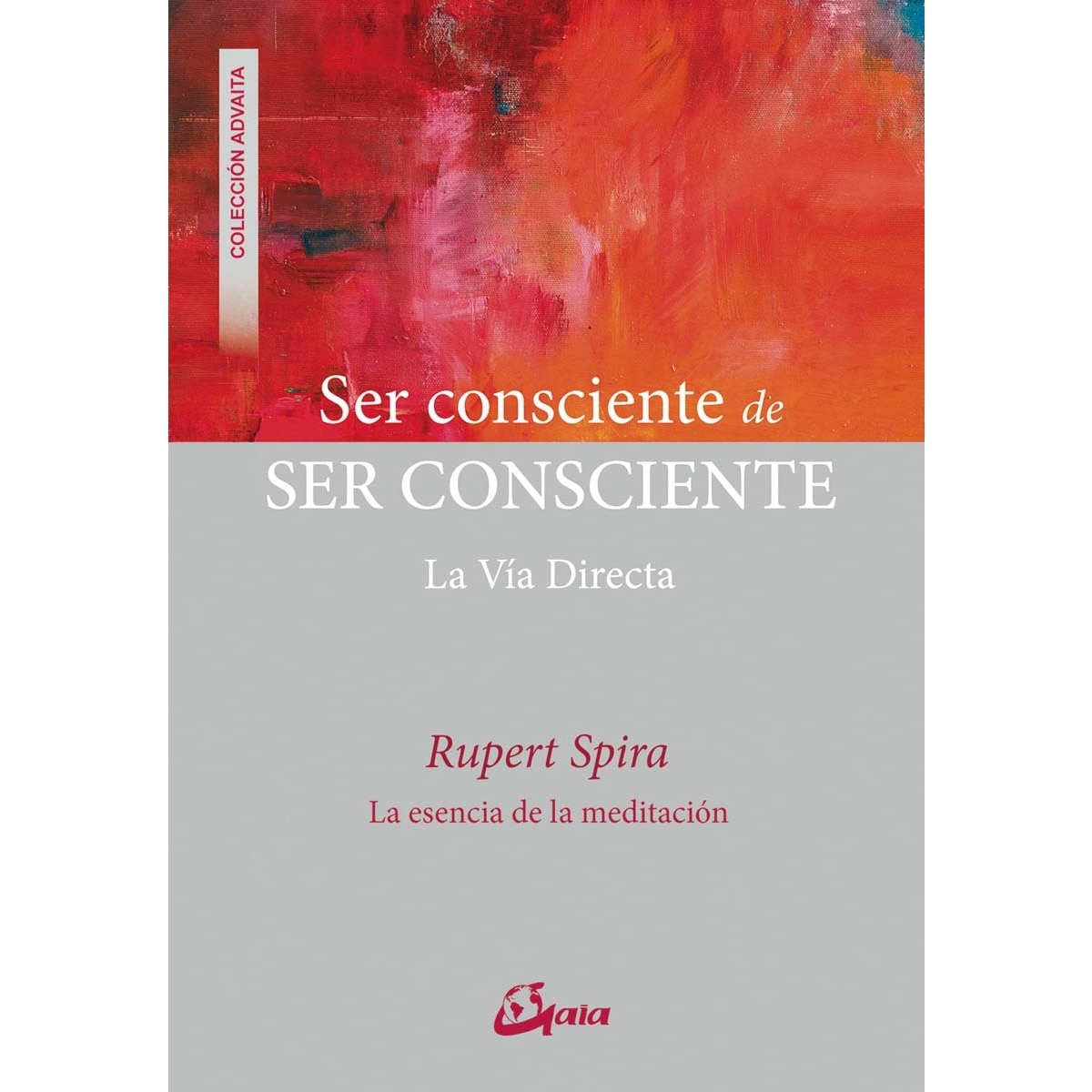 Imagem 0 de Ser consciente de ser consciente: La Vía Directa (Capa mole com abas)
