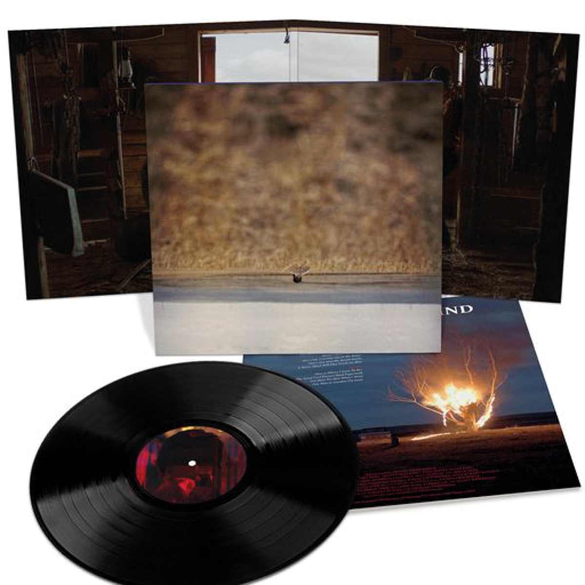 Hands that bind (V.O) (LP-Vinil) 2