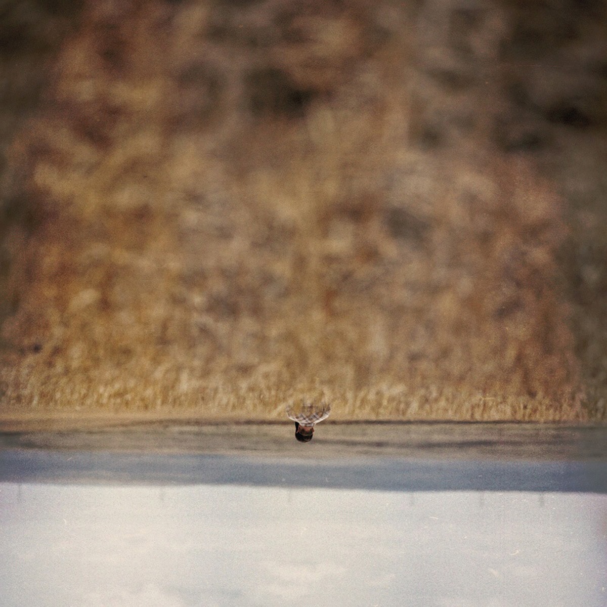 Imagem 0 de Hands that bind (V.O) (LP-Vinil)