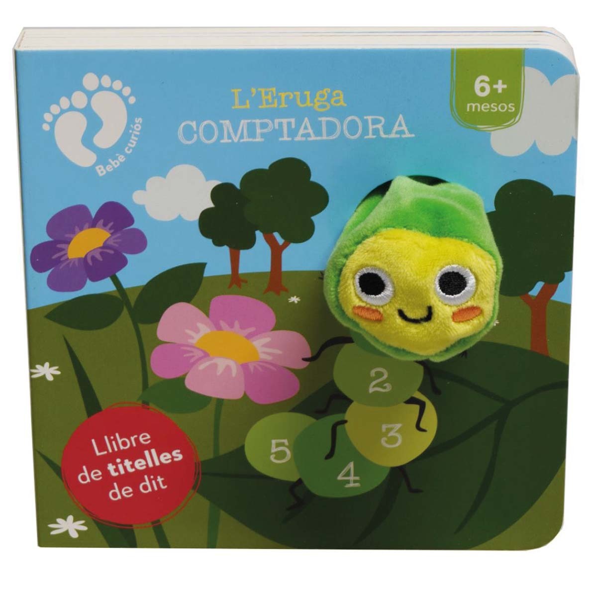 L'eruga comptadora 1