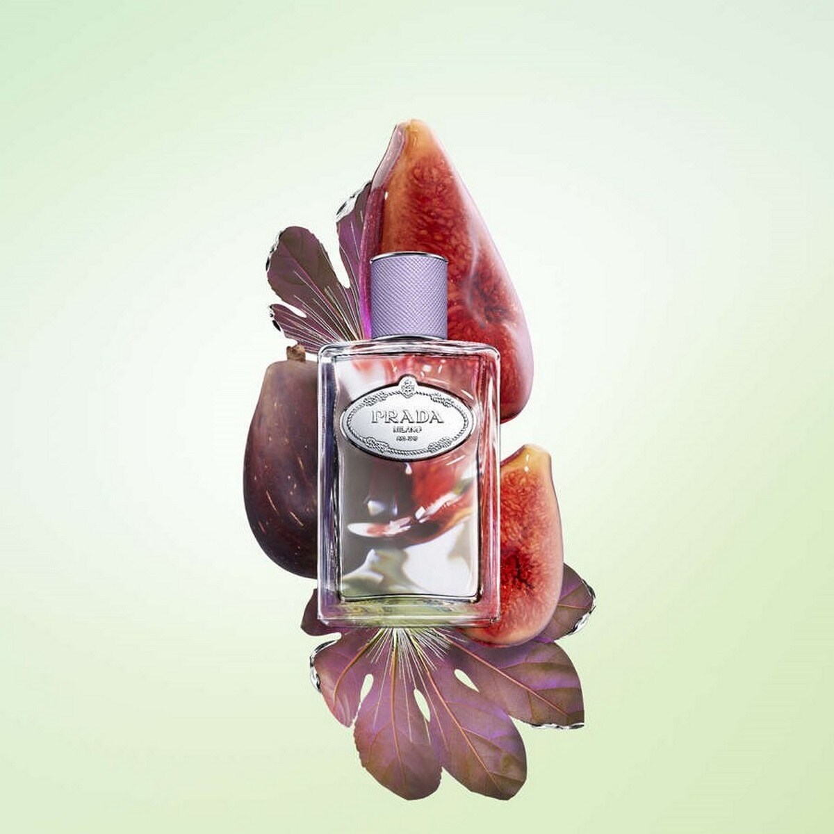 Infusion de Figue Eau de Parfum - 100 ml 4