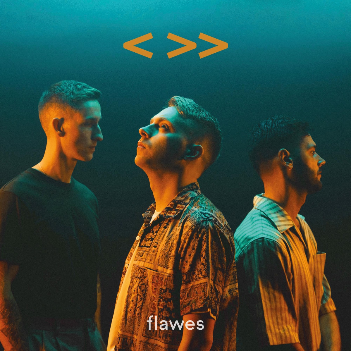 One Step Back. Two Steps Forward (LP-Vinil) 1