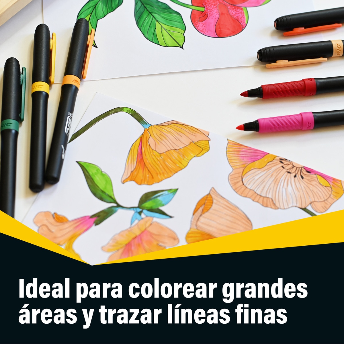 24 Rotuladores Colorear Premium Intensity BIC Multicolor-4