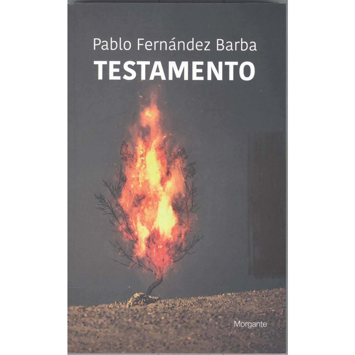 Testamento 1