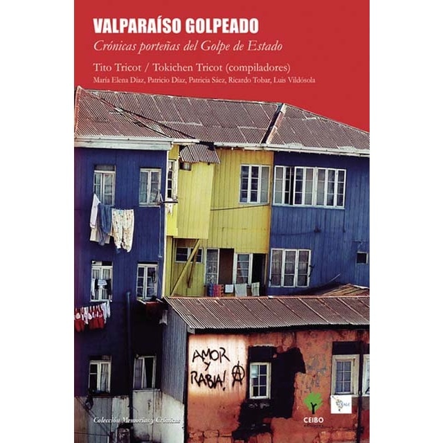 Valparaíso golpeado 1