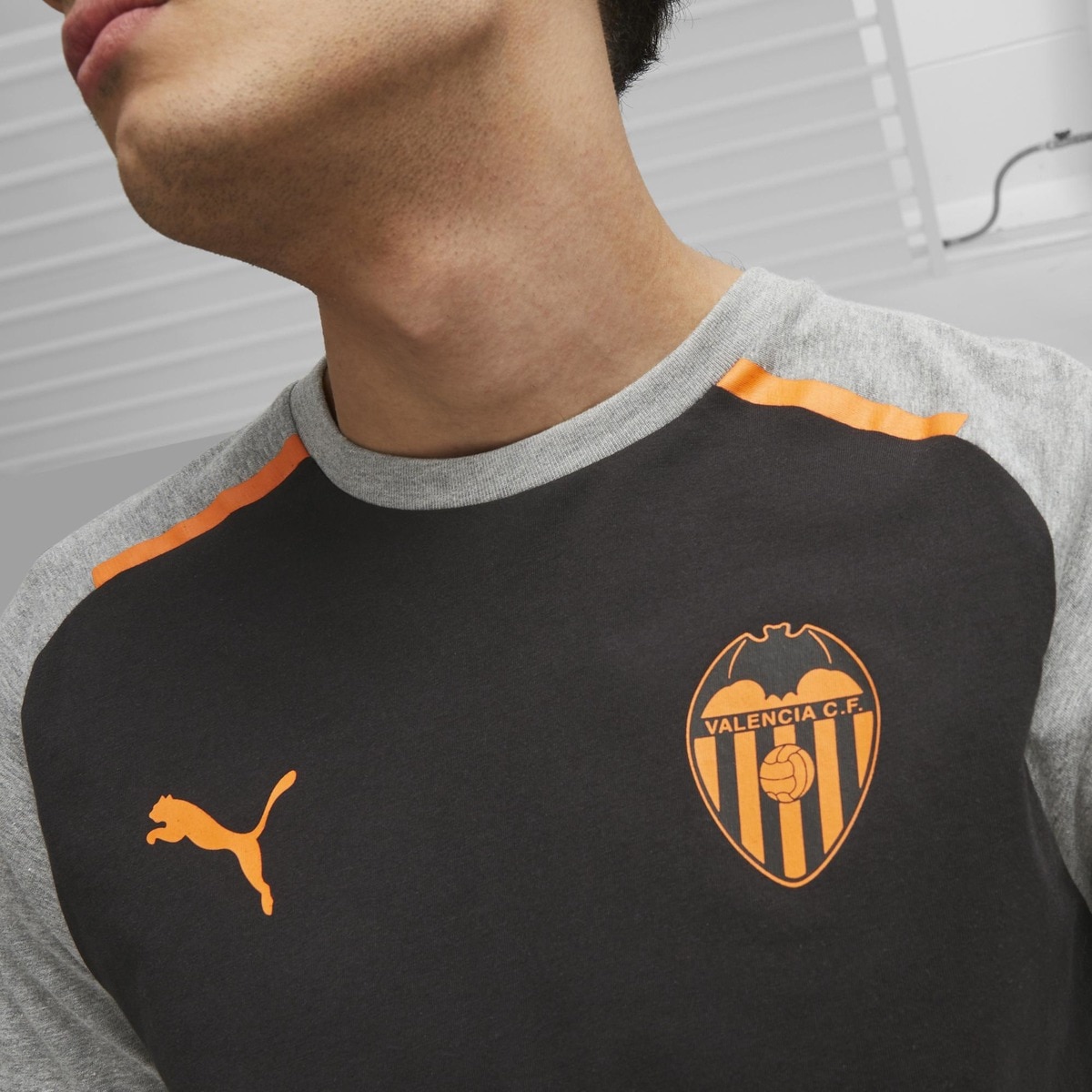 Camiseta de hombre Valencia CF Casuals 2023-2024 Puma · Puma · El