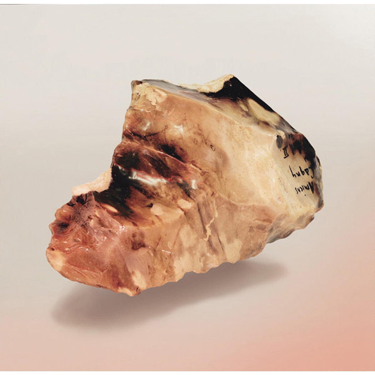 In thy domain (2 LP-Vinil) 1