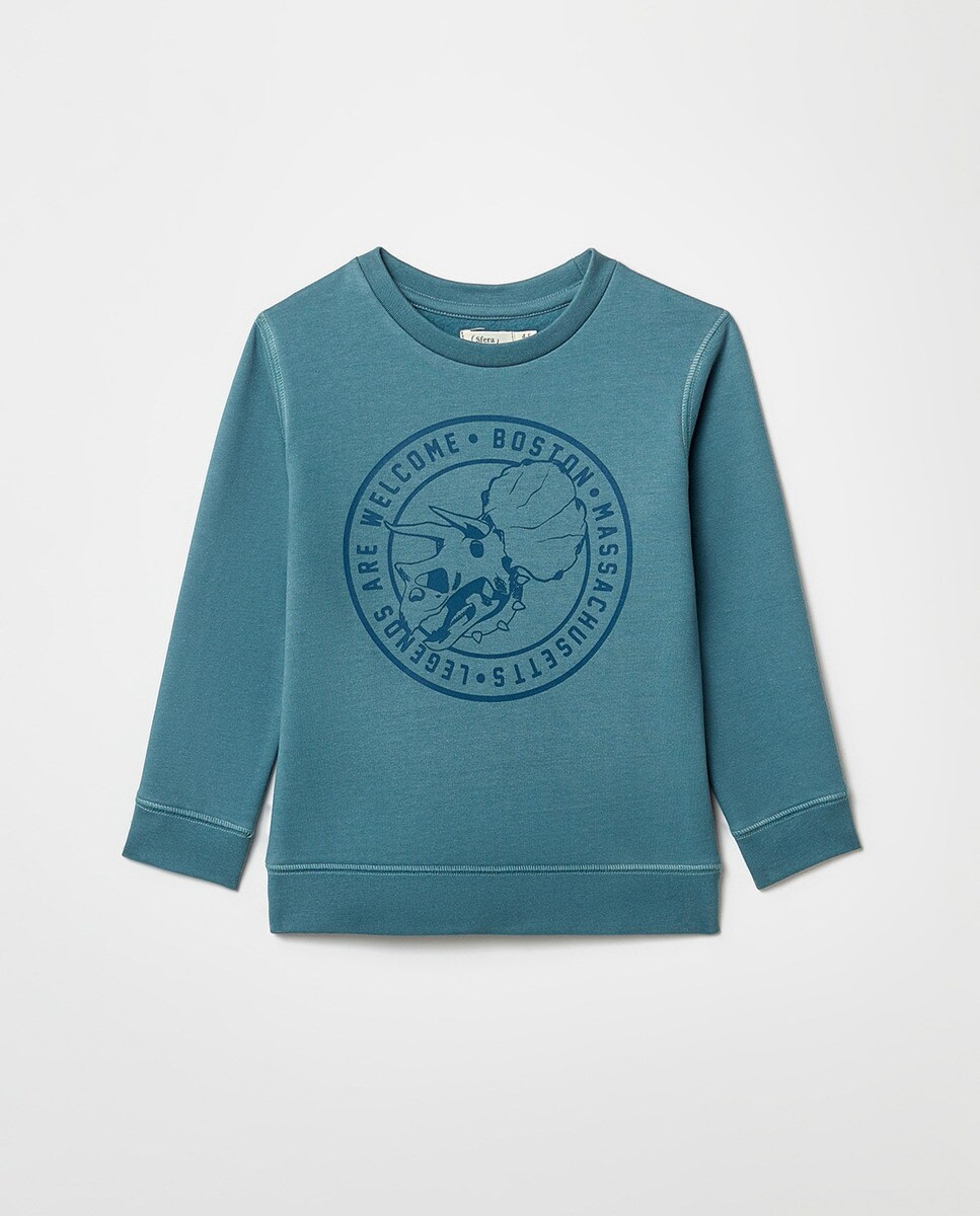 Sweat dinosaure boston