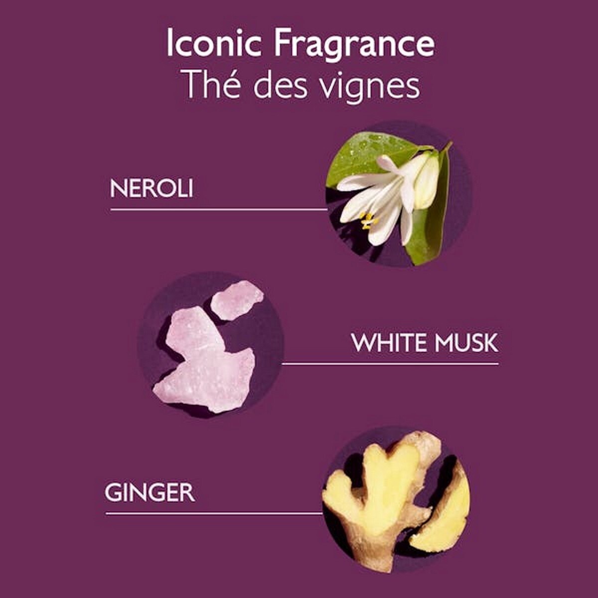 Champô de Tratamento Suave 200 ml Caudalie 3