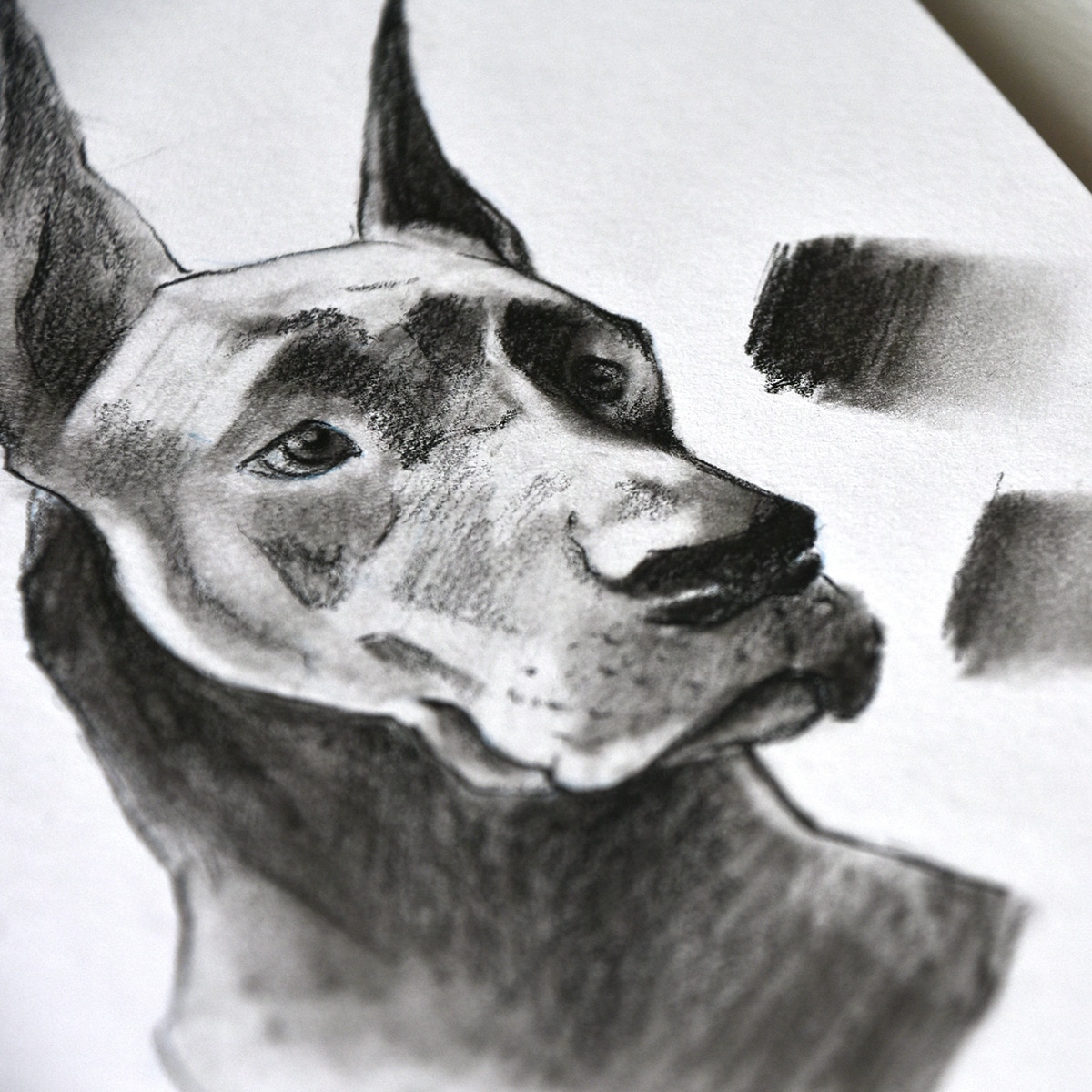 Bloc dibujo A5 Amperse Beige-3