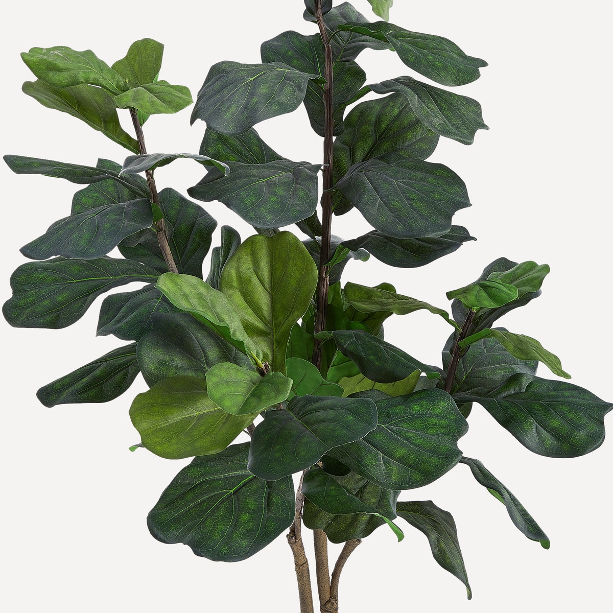 Árvore Artificial Ficus Lyrata - 180 cm Verde-2