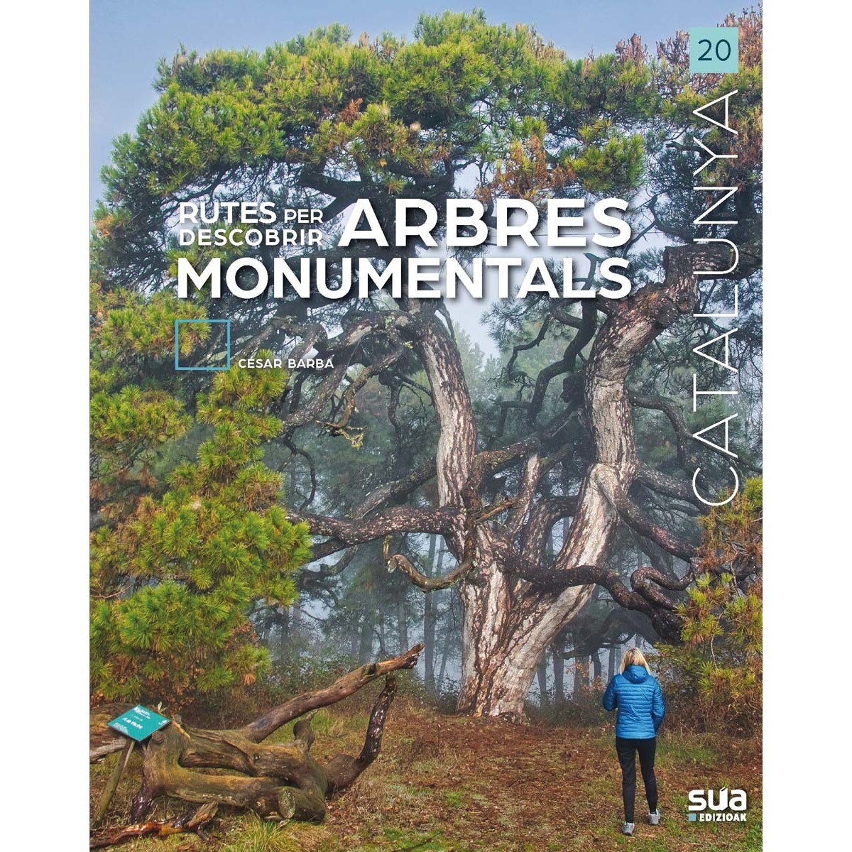 Imagem 0 de Rutes per descobrir arbres monumentals (Capa mole)