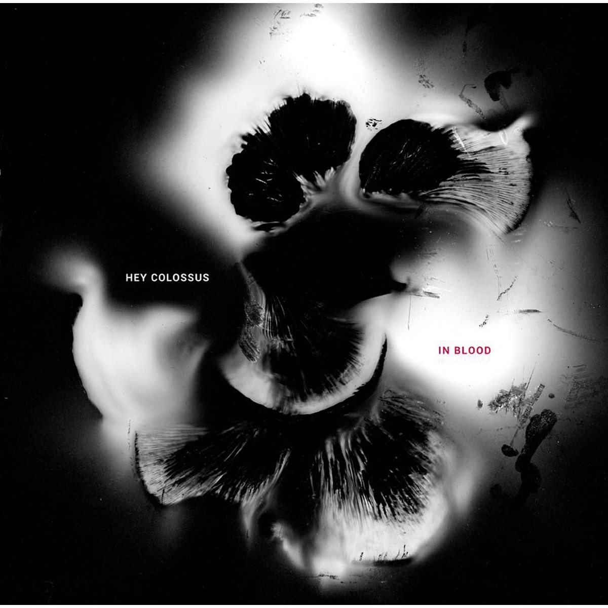 Imagem 0 de In blood (Edição Color) (LP-Vinil)