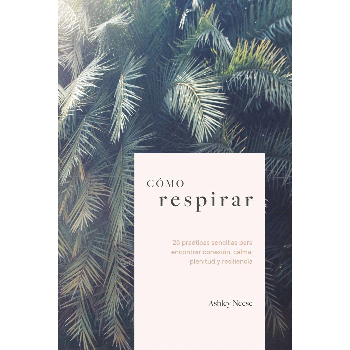 Como respirar 1