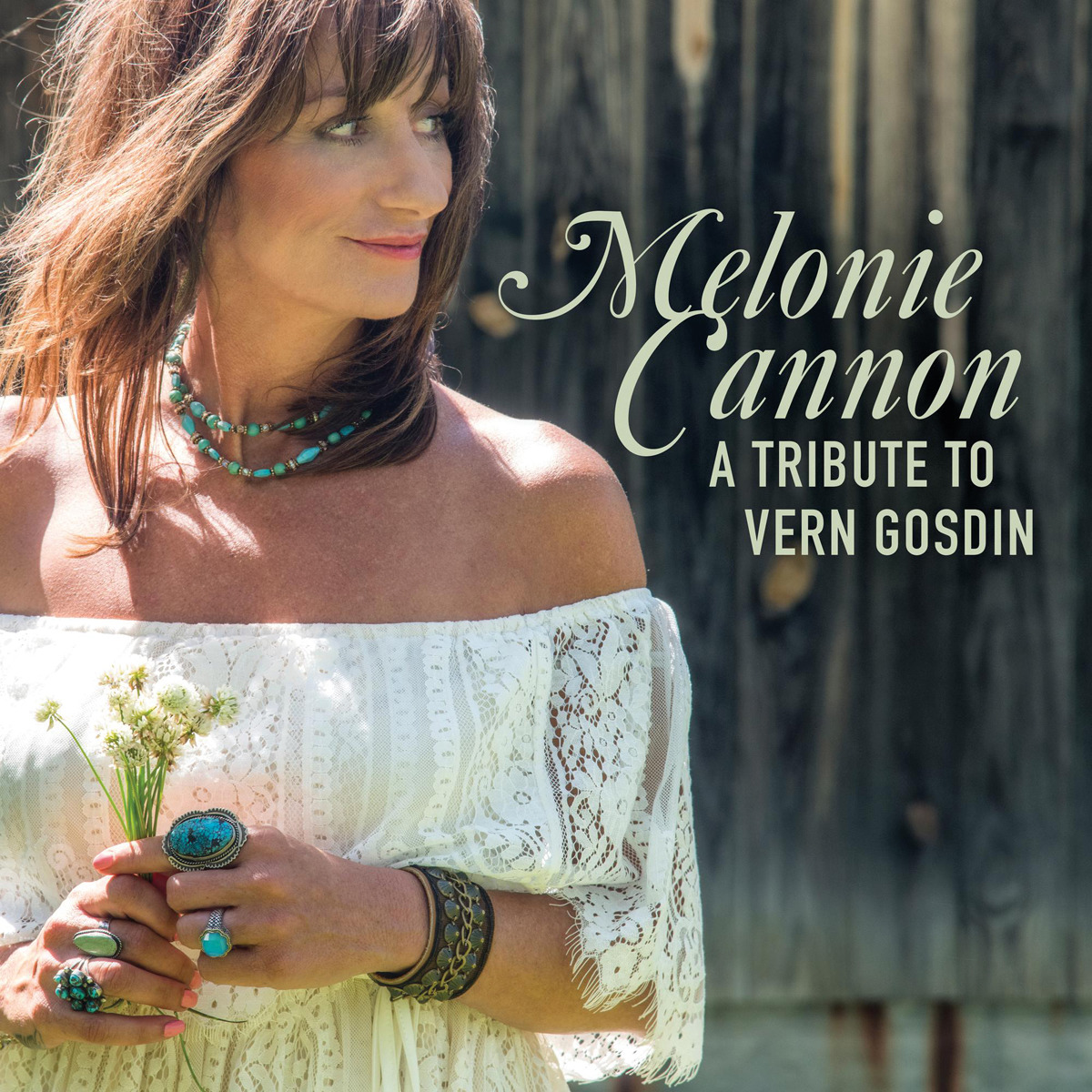 Imagem 0 de A tribute to Vern Gosdin (LP-Vinil)