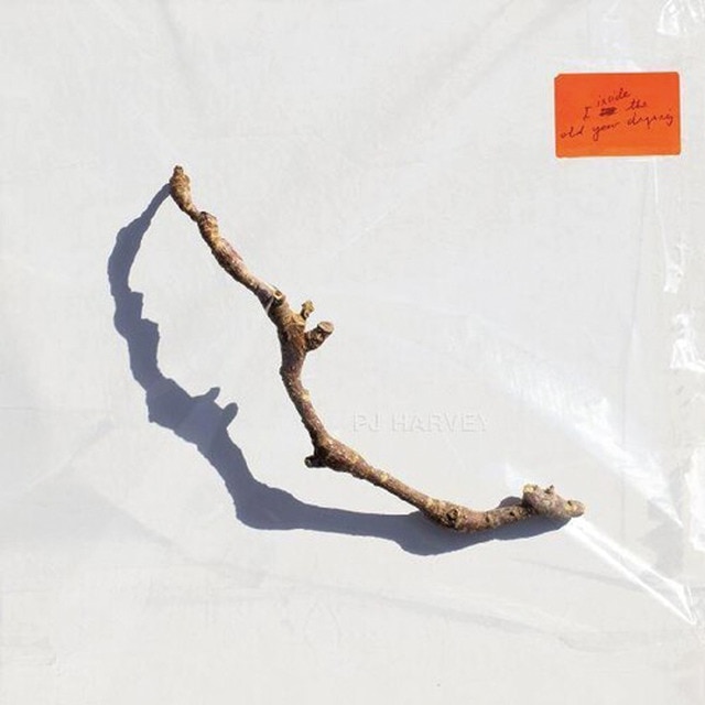 Imagen 0 de I Inside The Old Year Dying (LP-Vinilo)