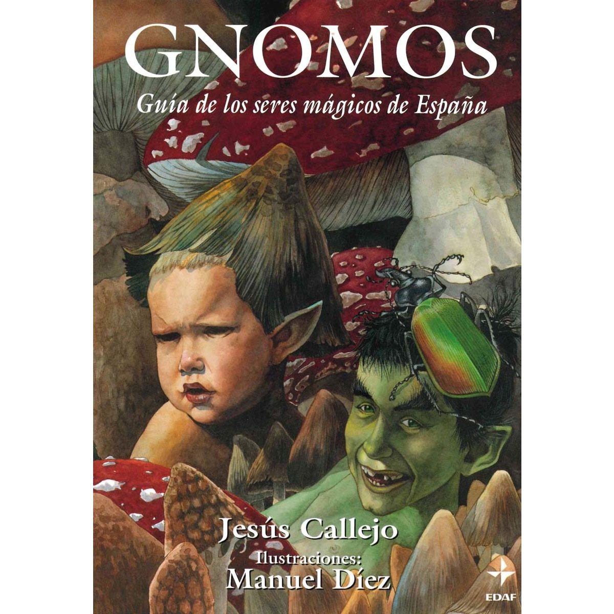 Gnomos: Guía de los seres mágicos de España (Capa mole com abas) 1