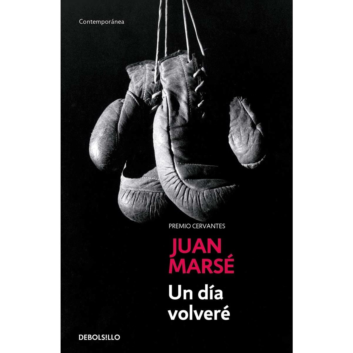 Imagen 0 de Un día volveré