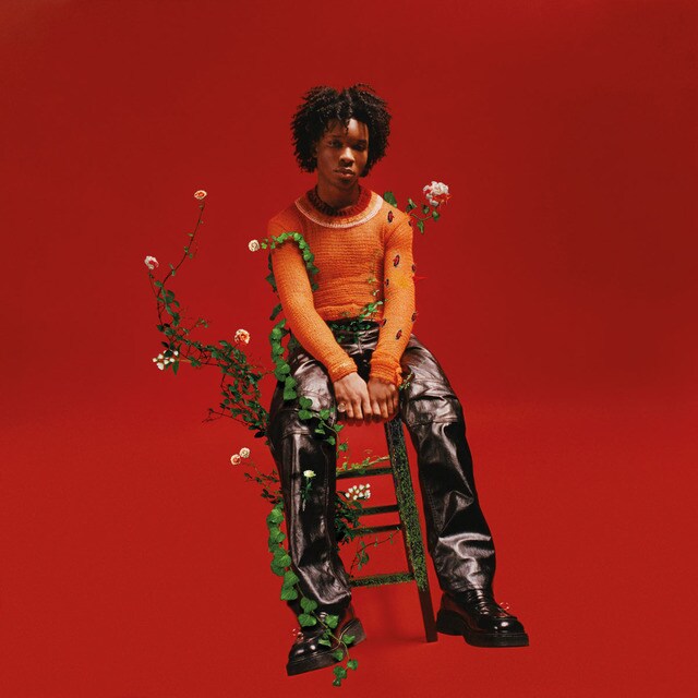 Petals To Thorns (LPVinilo) · DARKROOM/INTERSCOPE · El Corte Inglés