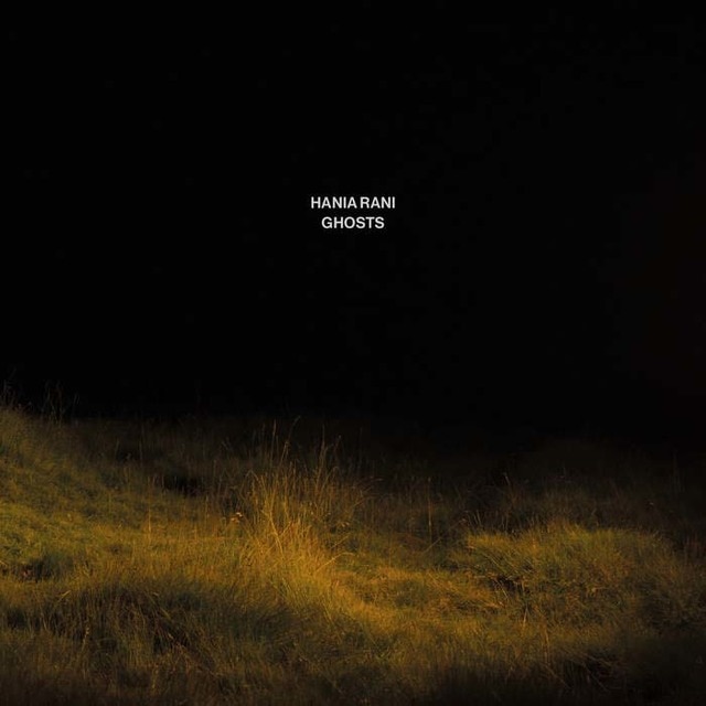 Imagem 0 de Ghosts (LP-Vinil)