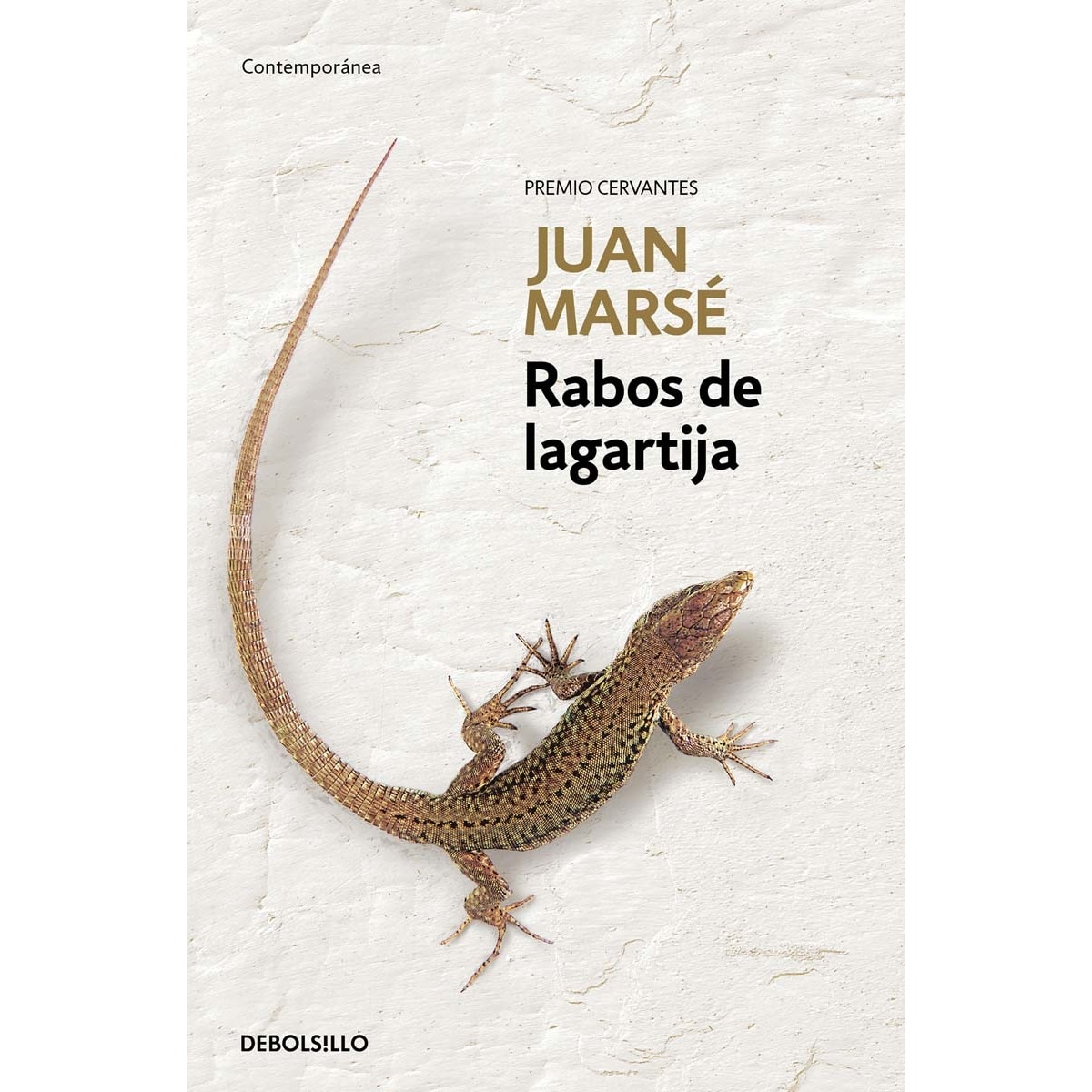 Imagen 0 de Rabos de lagartija (Bolsillo) (Tapa blanda)