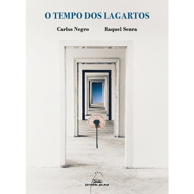 Imagem 0 de O tempo dos lagartos (Capa mole com abas)