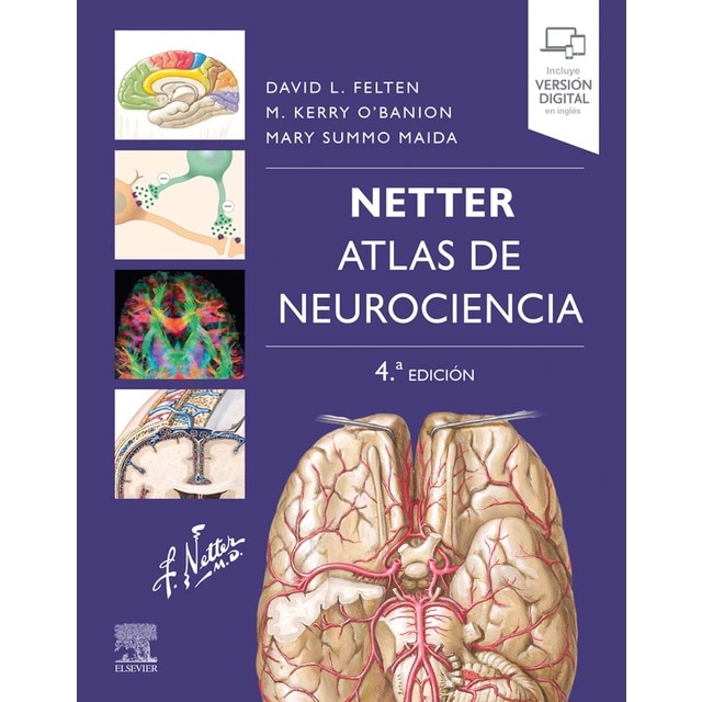 Imagen 0 de Netter. Atlas de neurociencia  (Tapa blanda)