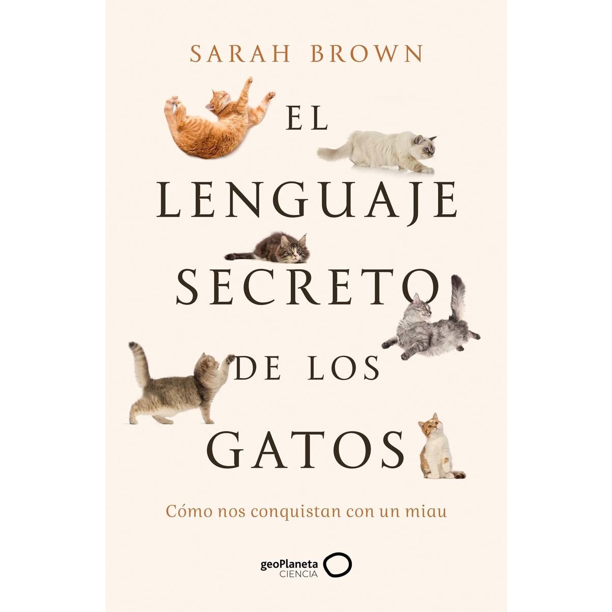 Imagem 0 de El lenguaje secreto de los gatos (Capa mole com abas)