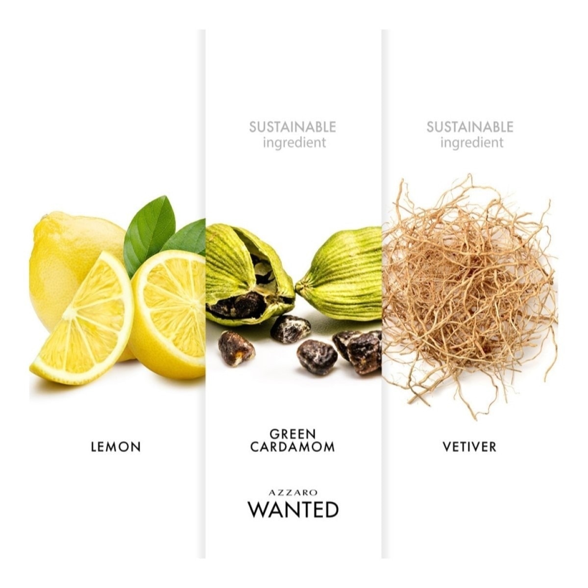 Wanted Eau de Toilette Recarregável - 50 ml 4