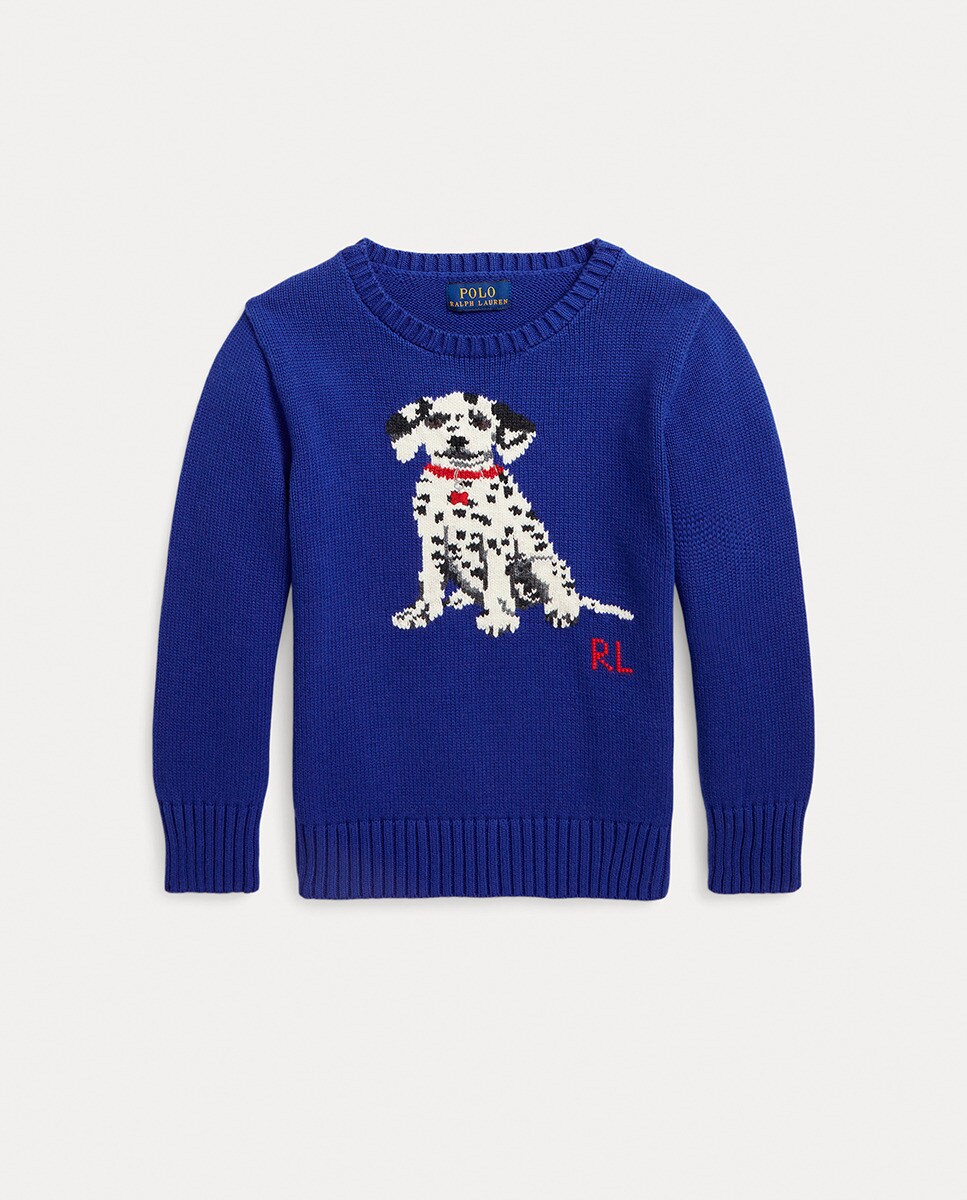 Pull avec dalmatien