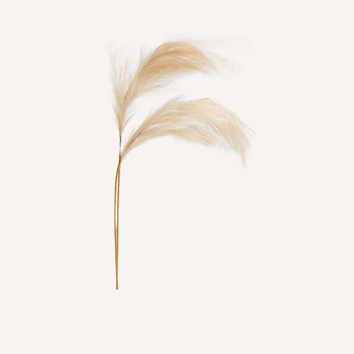 Lot de 2 branches artificielles à plumes Pampas