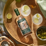 gin bottle 70 cl