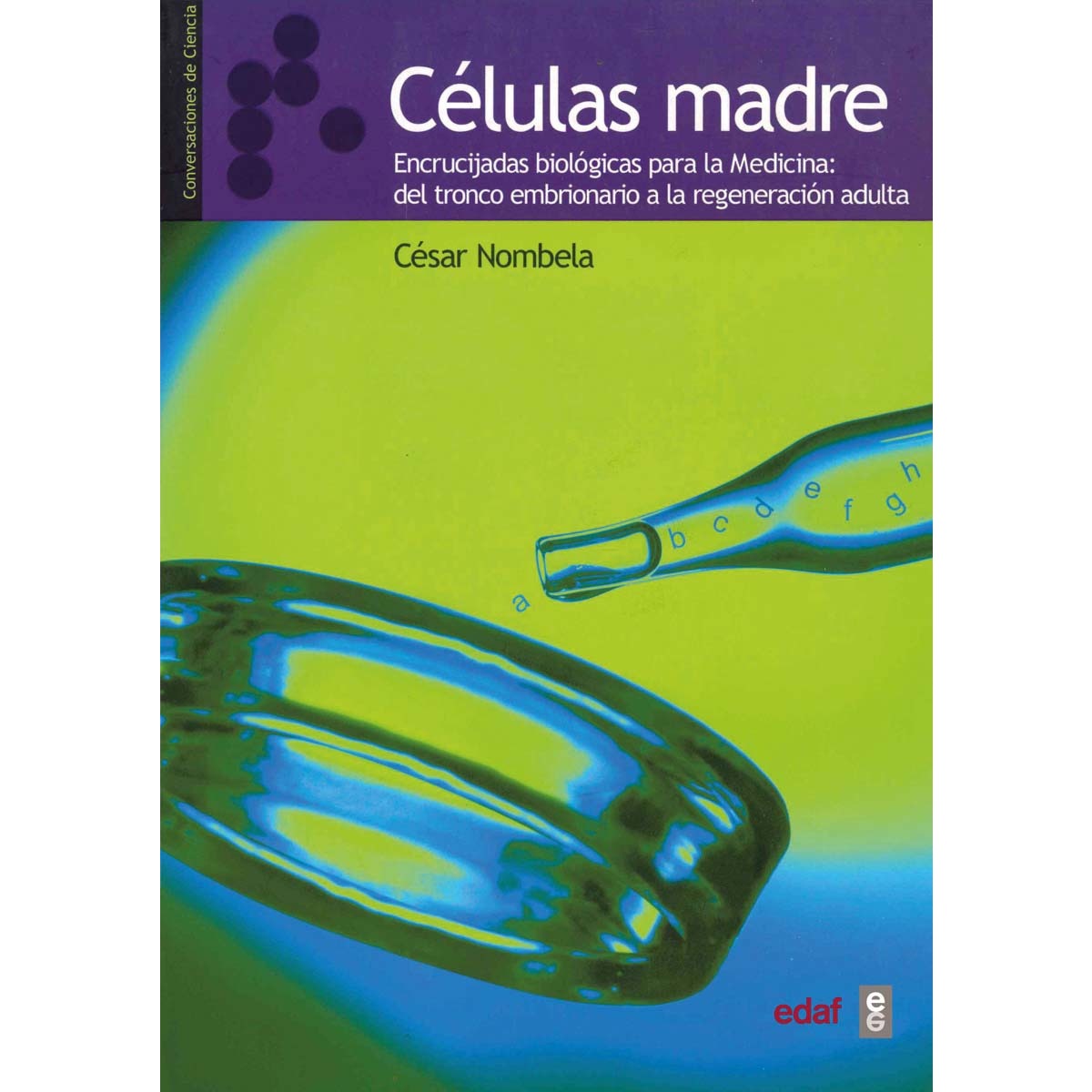 Células madre: Encrucijadas biológicas para la Medicina: del tronco embrionario a la regeneración adulta (Capa mole com abas) 1