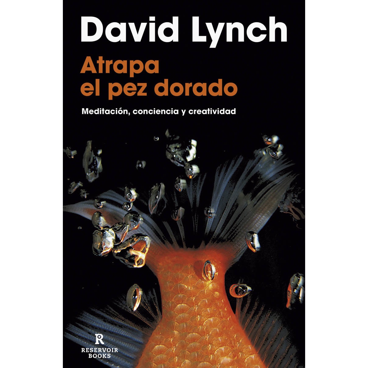 Imagem 0 de Atrapa el pez dorado(Tapa blanda)