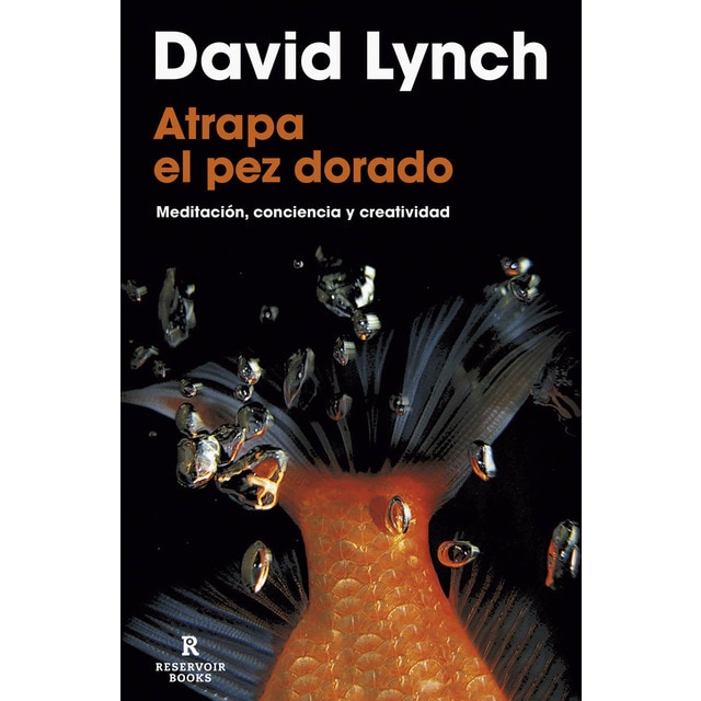 Imagem 0 de Atrapa el pez dorado(Tapa blanda)