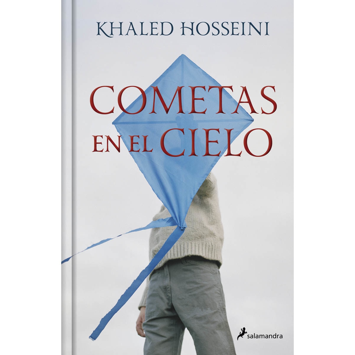 Imagem 0 de Cometas en el cielo. Edición del 20 aniversario (Capa dura)