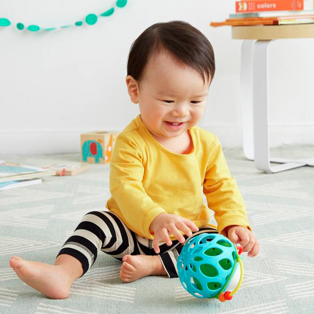 Mordedor Roca O Ouriço Celeste-5