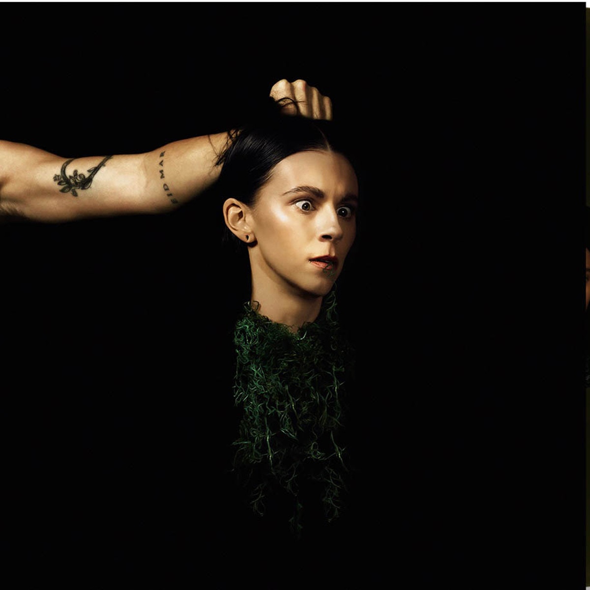 Imagem 0 de Evergreen (LP-Vinil)