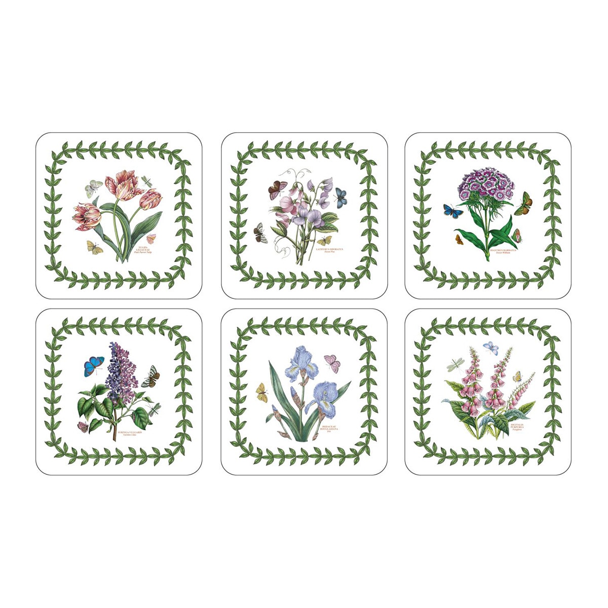 Conjunto de 6 Bases para Copos Botanic Garden Multicolor-1