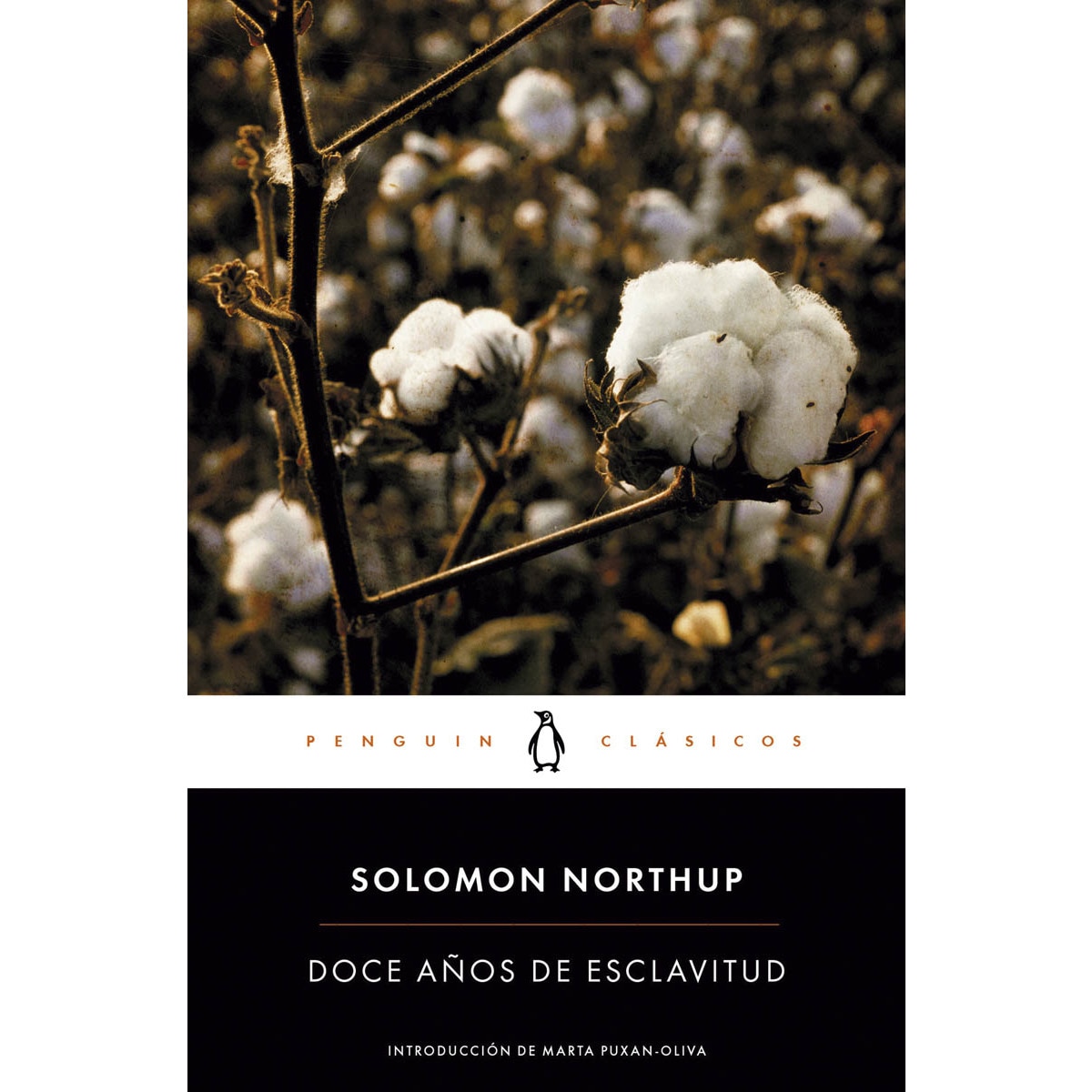 Imagem 0 de Doce años de esclavitud(Tapa blanda)