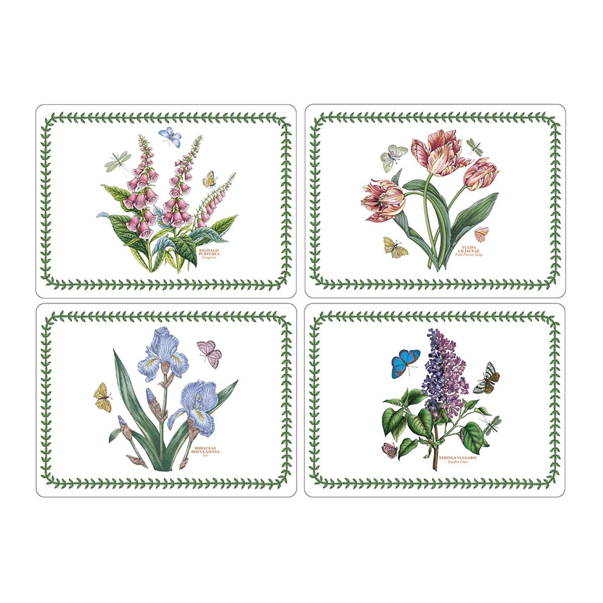 Conjunto de 4 Individuais Botanic Garden Multicolor-1