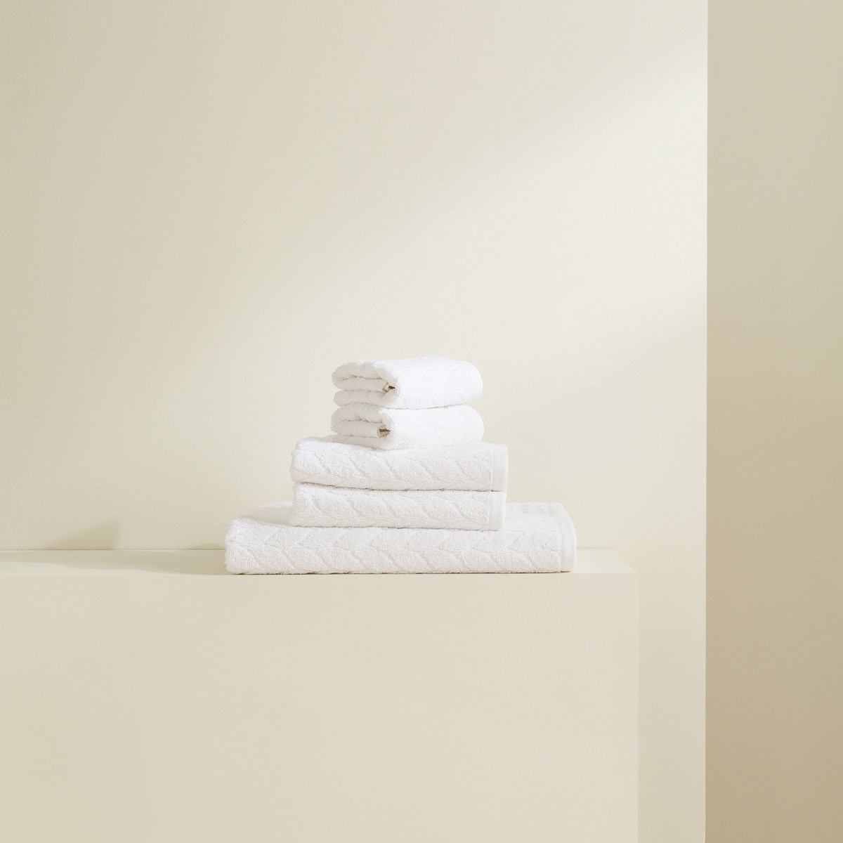 Lot de 5 serviettes de bain 450/m2 Tresser