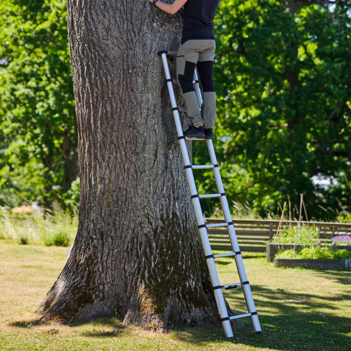 Escada Telescópica Eco Line - 3 m Aço/Preto-4
