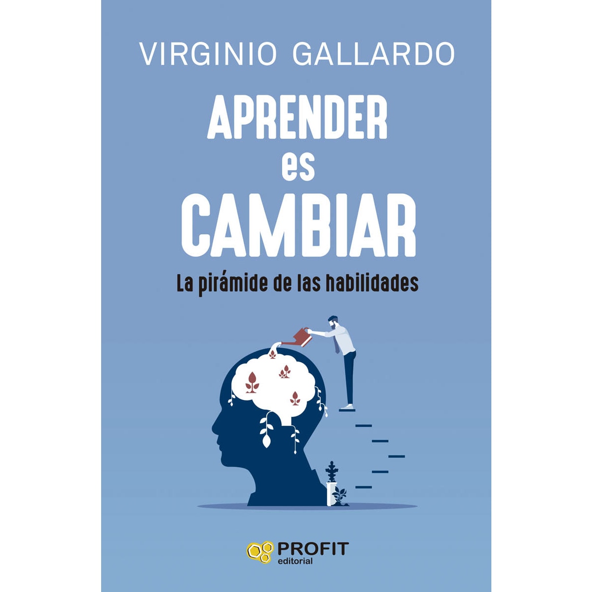 Imagem 0 de Aprender es cambiar: La pirámide de las habilidades (Capa mole com abas)