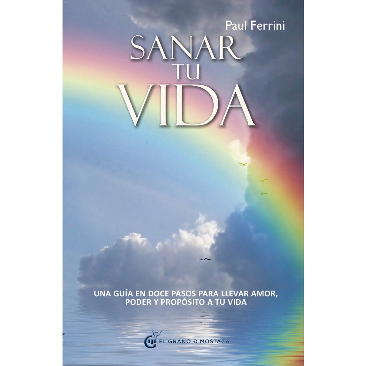 Sanar tu vida: Una guía en doce pasos para llevar amor, poder y propósito a tu vida (Capa mole com abas) 1