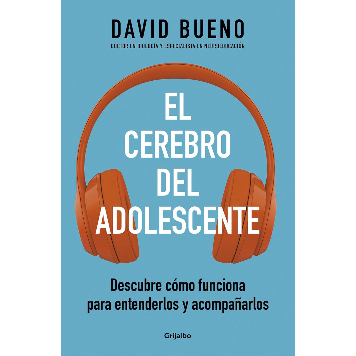 Imagem 0 de El cerebro del adolescente: Descubre cómo funciona para entenderlos y acompañarlos(Tapa blanda)