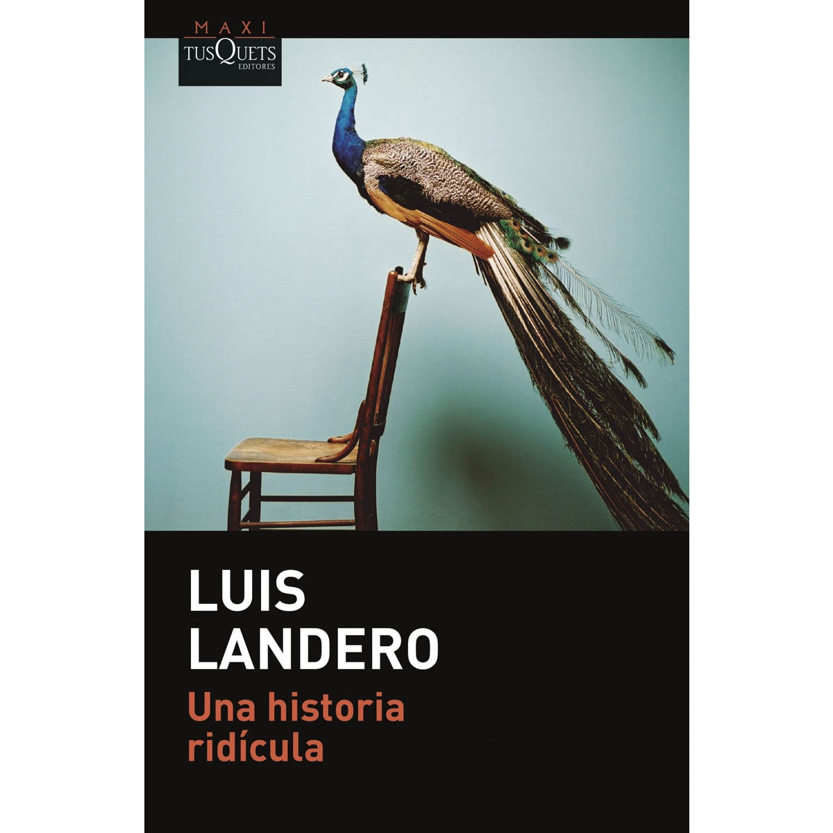 Una historia ridícula (Bolso) 1