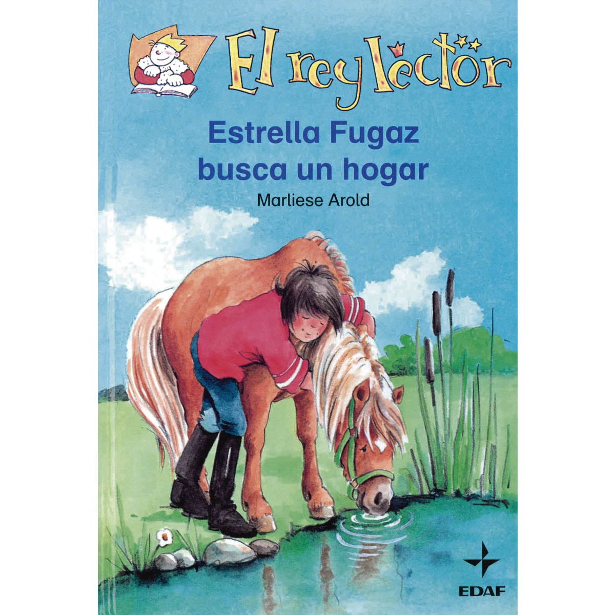 Estrella fugaz busca un hogar (Capa dura) 1
