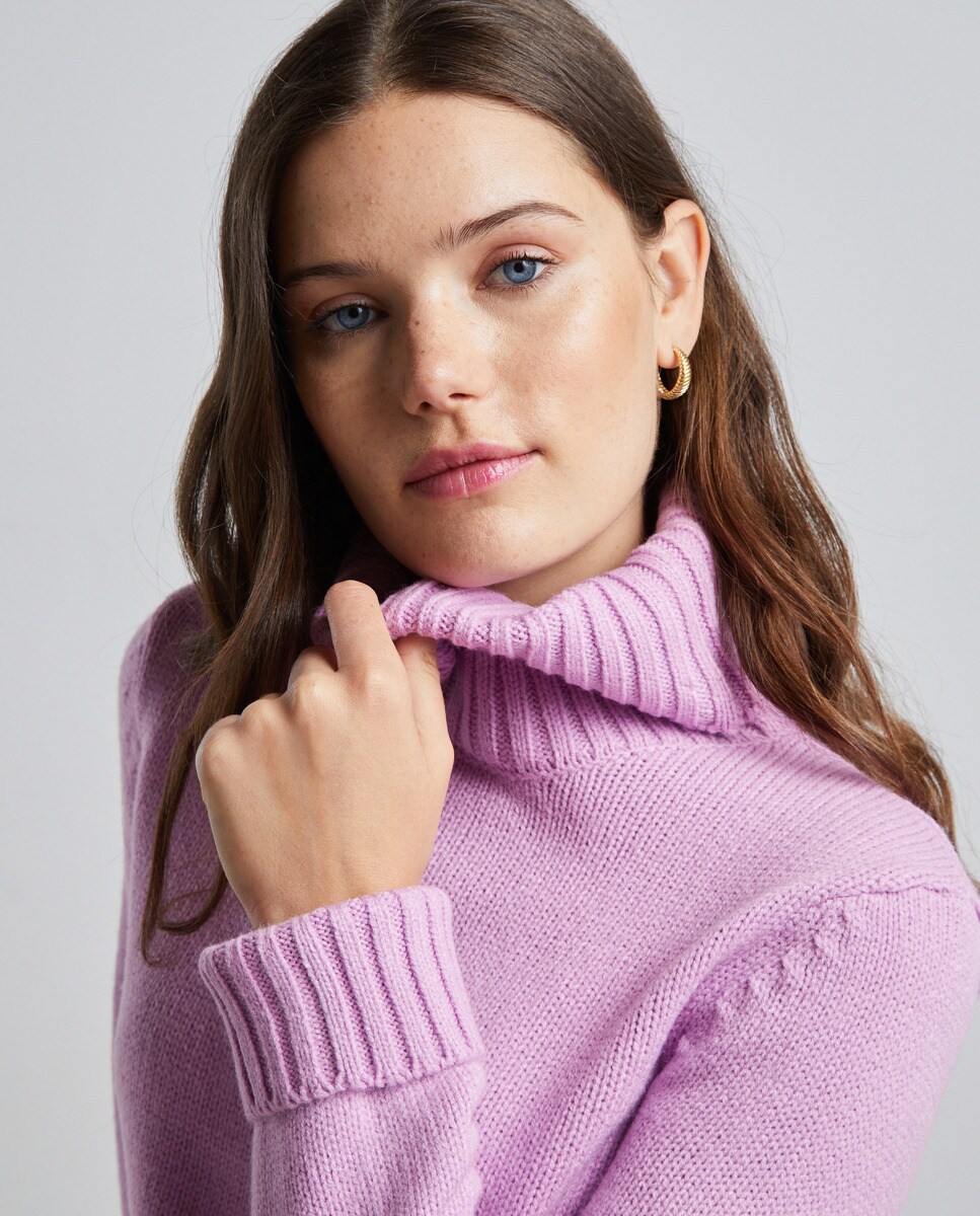 Pull basic et col roulé