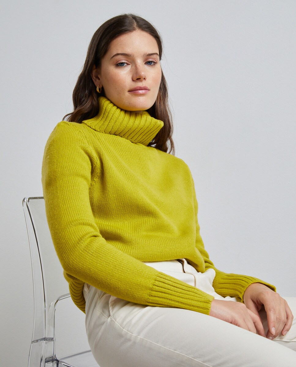 Pull basic et col roulé